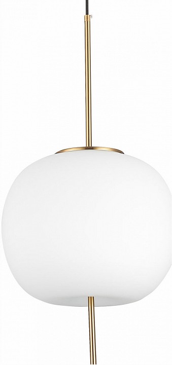 Подвесной светильник ST-Luce Lacus SL1621.213.01