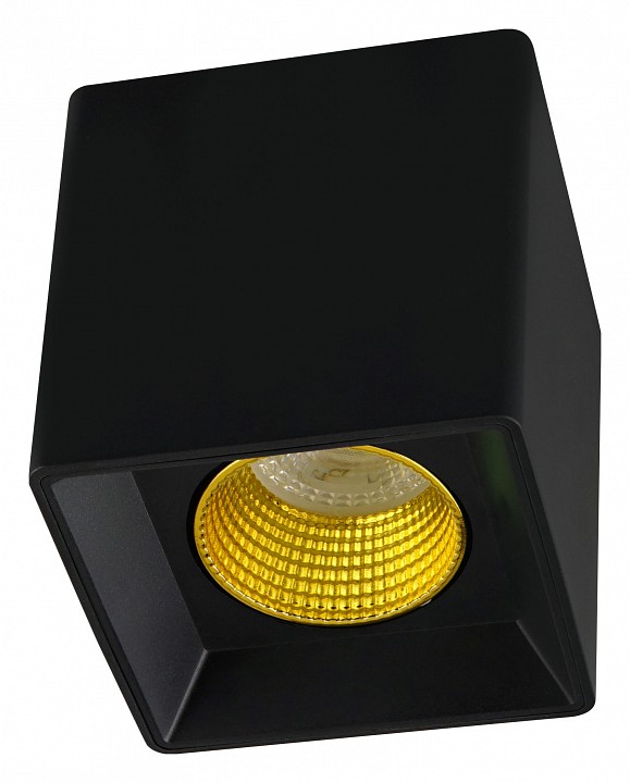 Накладной светильник Denkirs DK3020BYE DK3080-BK+YE