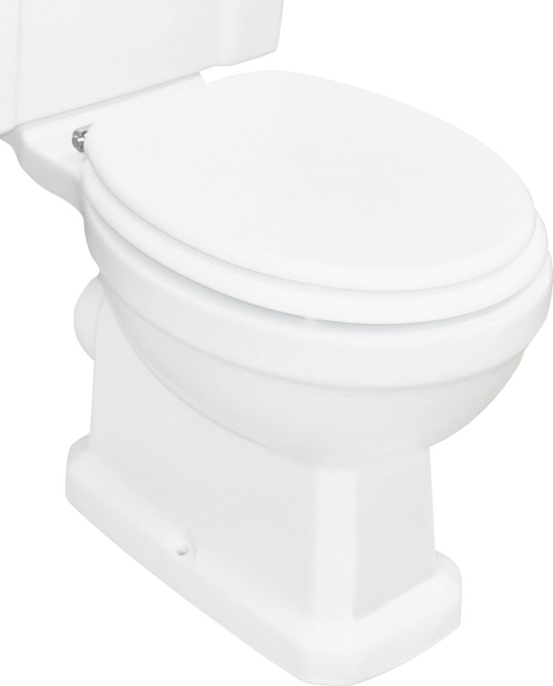Чаша напольного унитаза BelBagno Trevi BB135CP