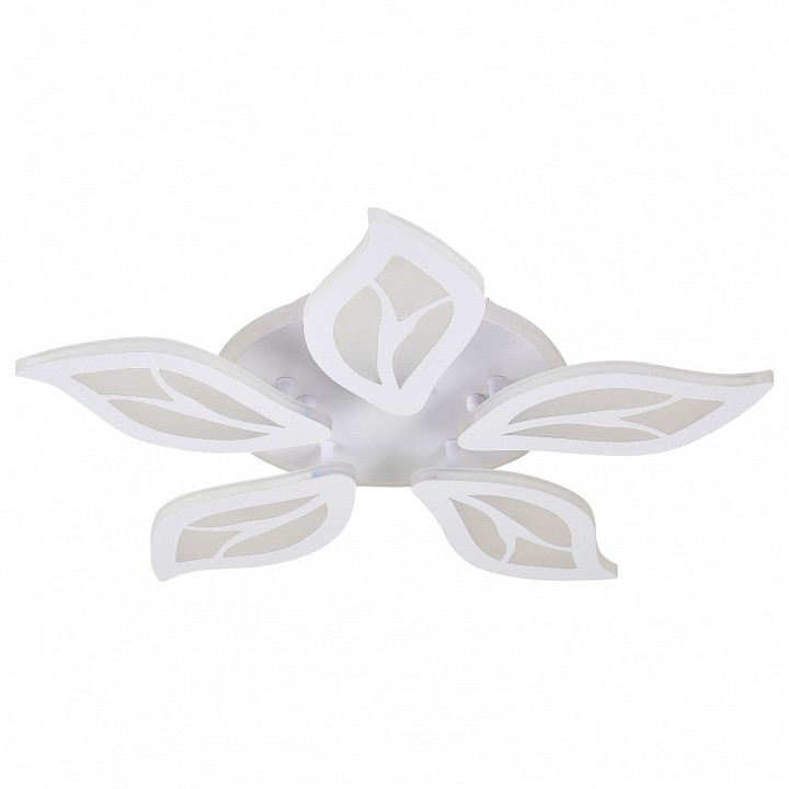 Накладной светильник Natali Kovaltseva 43742