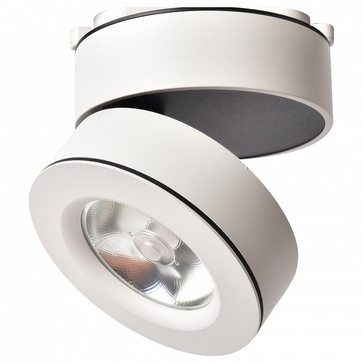 Накладной светильник Arte Lamp 2511 A2511PL-1WH