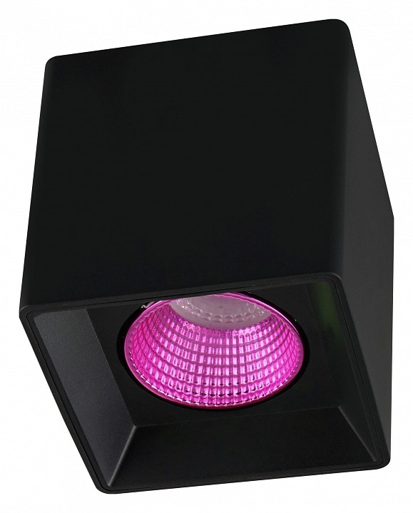 Накладной светильник Denkirs DK3020BPI DK3080-BK+PI