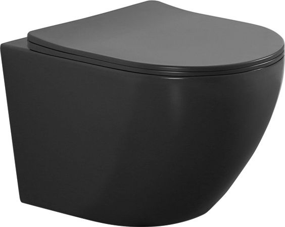 Подвесной унитаз Aquanet Cetus с микролифтом, безободковый Cetus 2.0 W LX-1901С