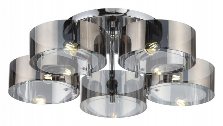 Накладной светильник EVOLUCE Foresta SL483.702.05