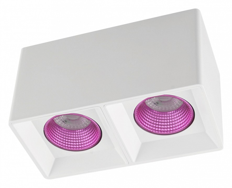 Накладной светильник Denkirs DK3020WPI DK3085-WH+PI