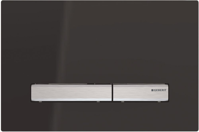 Кнопка смыва GEBERIT Sigma 50 115.788.DW.2 черный