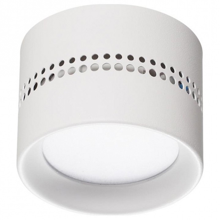 Накладной светильник Odeon Light Real 6609/1C