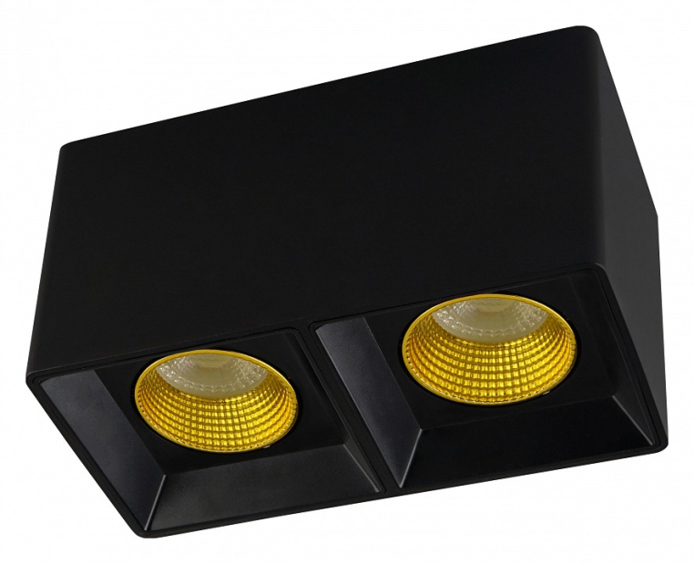 Накладной светильник Denkirs DK3020BYE DK3085-BK+YE