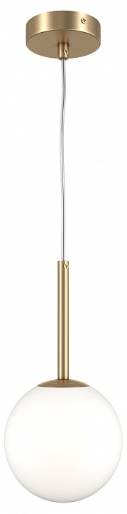 Подвесной светильник Maytoni Basic form MOD321PL-01G1