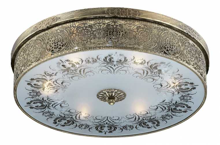 Накладной светильник Odeon Light Aster 2782/6C