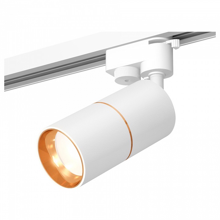 Светильник на штанге Ambrella Track System 11 XT6301020