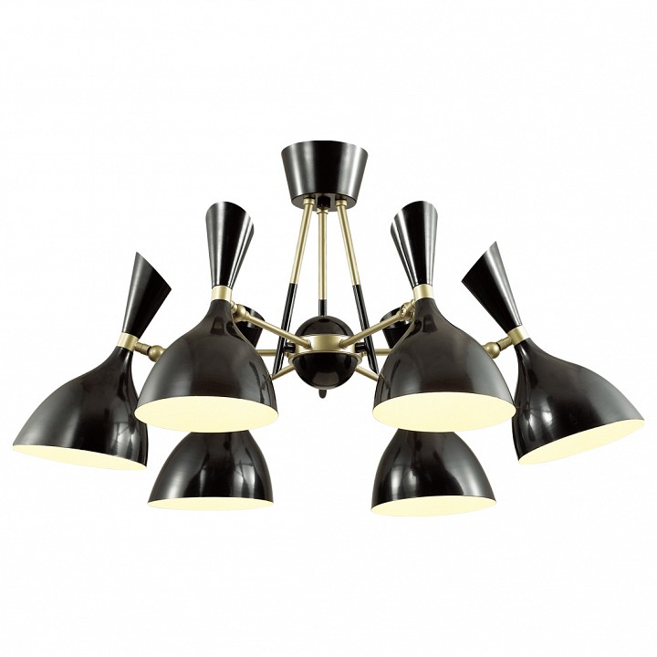 Потолочная люстра Odeon Light Rasto 4665/6C