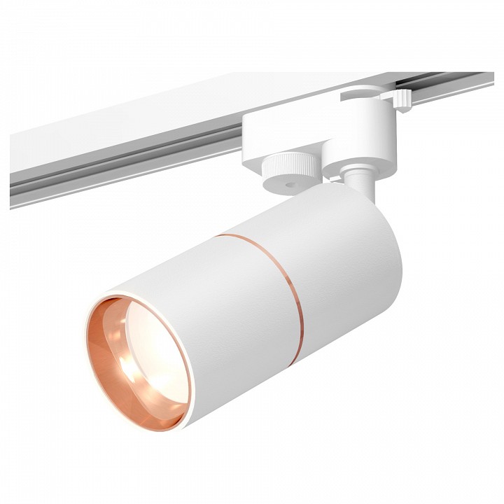 Светильник на штанге Ambrella Track System 11 XT6301030
