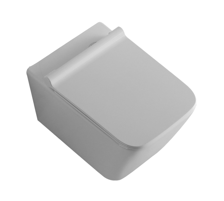 Подвесной унитаз Aquanet Tavr с микролифтом, безободковый TAVR-W BL-103N-WHT