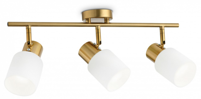 Спот Ambrella TR396 TR3972