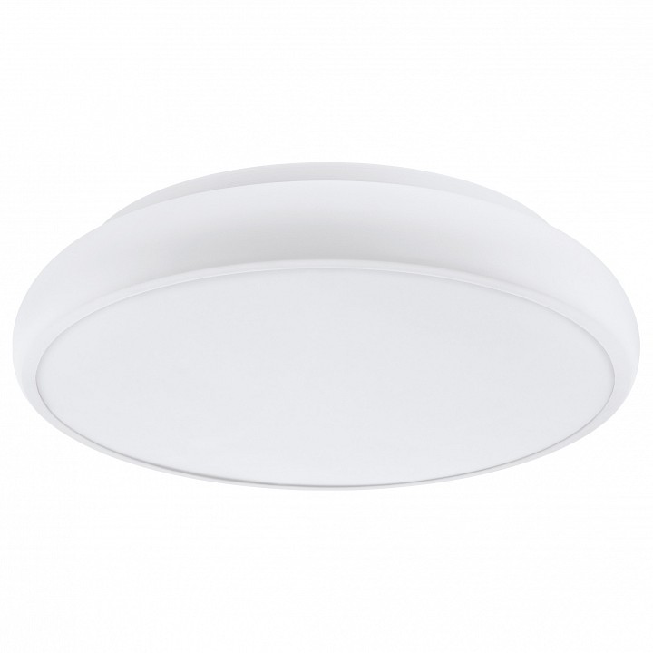 Накладной светильник Eglo ПРОМО Riodeva-C 98045