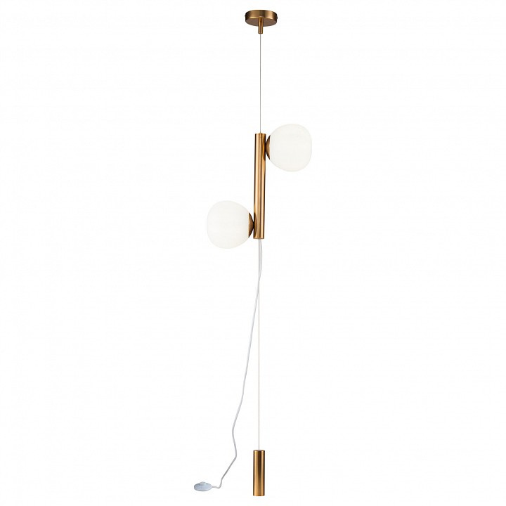 Светильник на растяжке Maytoni Erich MOD221FL-01G