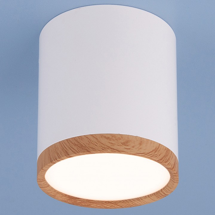 Накладной светильник Elektrostandard Dlr024 a040548