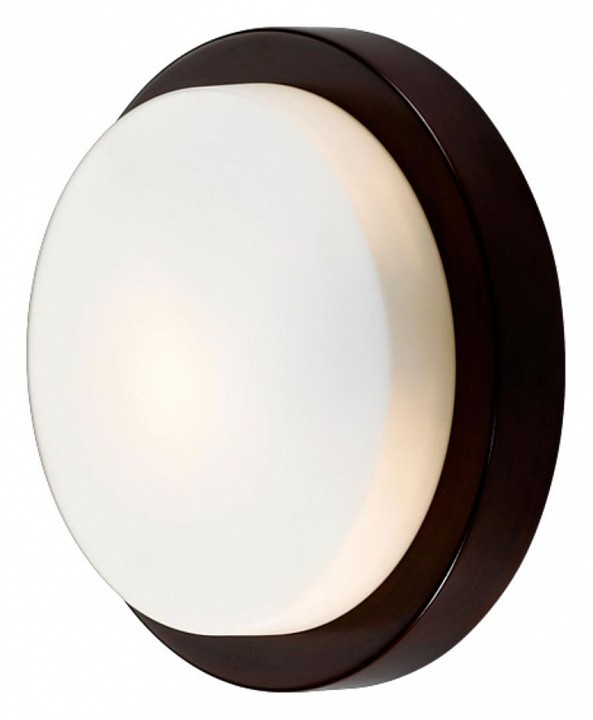 Накладной светильник Odeon Light Holger 2744/1C