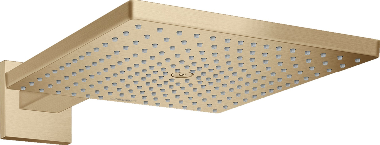 Верхний душ Hansgrohe Raindance 26238140 бронза