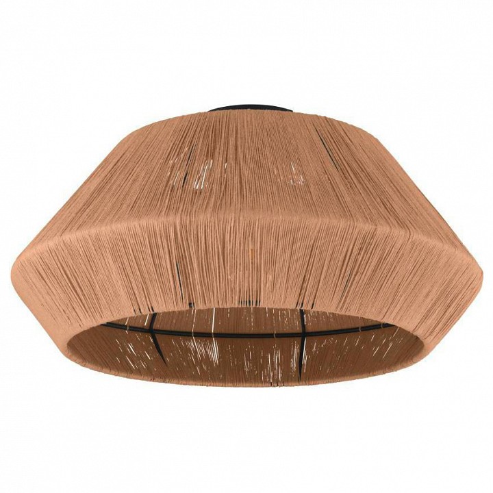 Накладной светильник Eglo Alderney 43784