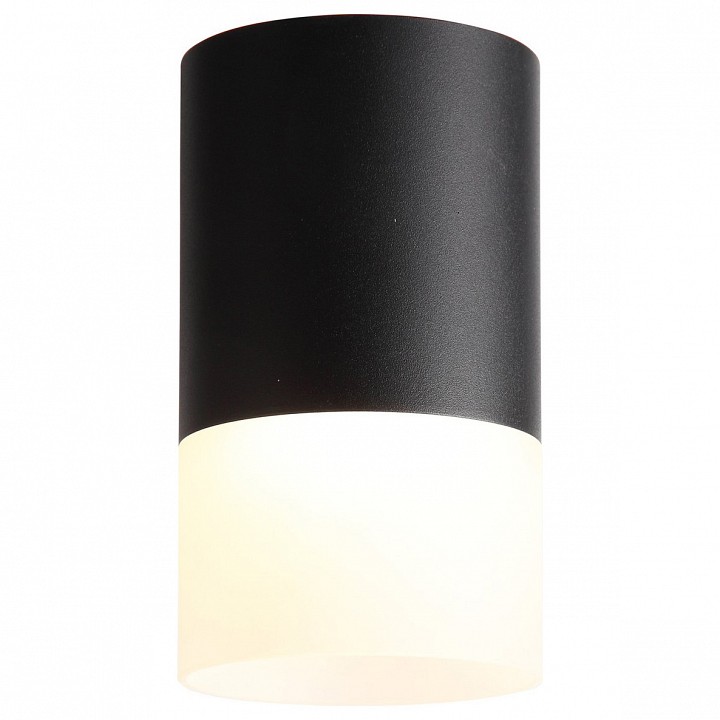 Накладной светильник ST-Luce Ottu ST100.442.05