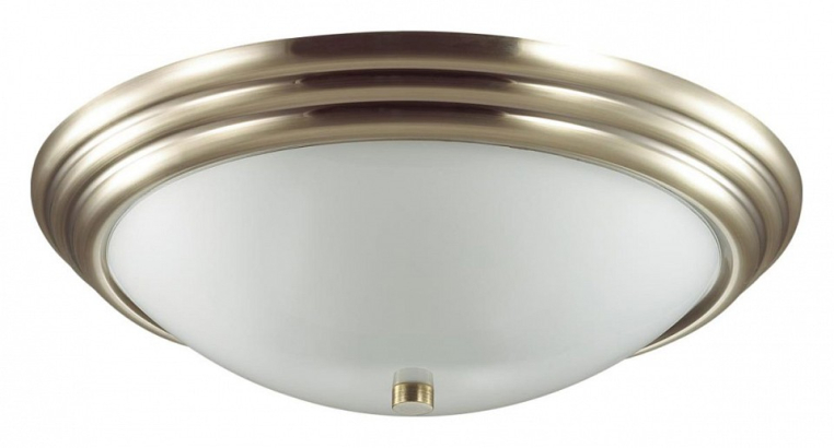 Накладной светильник Lumion Kayla 5262/3C