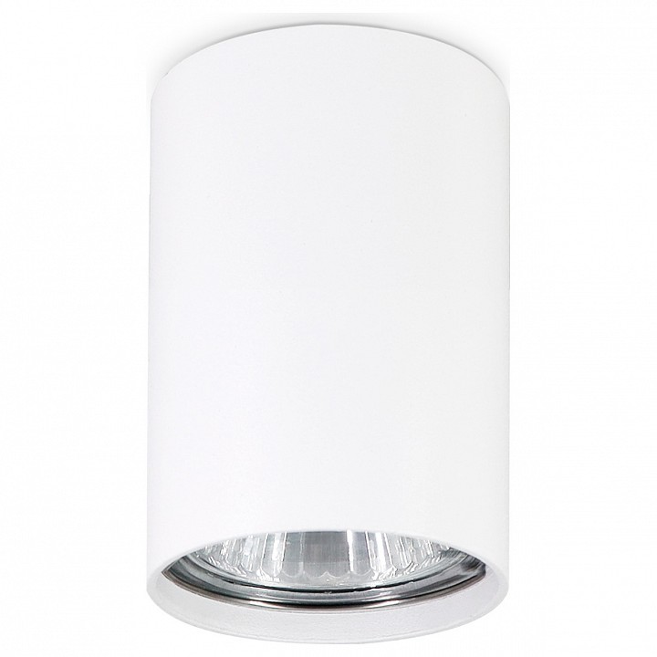 Накладной светильник Ambrella TN TN213101