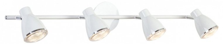 Спот Escada Belluno 10210/S