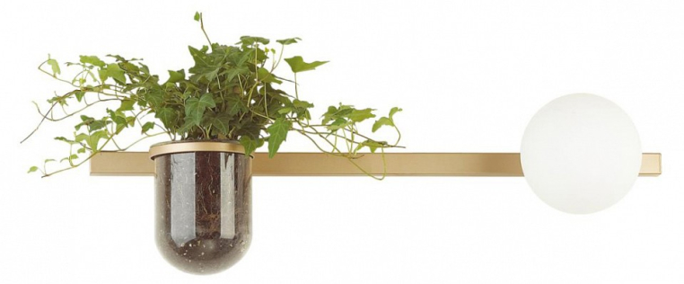 Бра Odeon Light Flower 4682/1WA