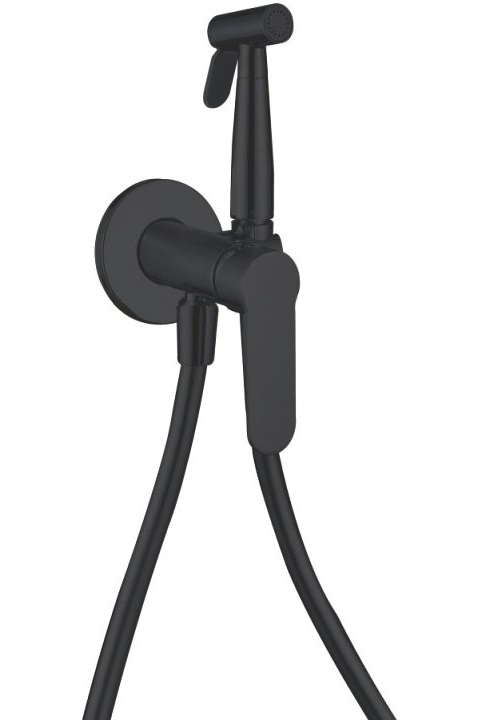 Смеситель с гигиеническим душем Aquanet Passion AF300-52B (с внутренней частью)