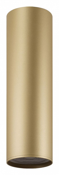 Накладной светильник Denkirs Tube DK2052-SG