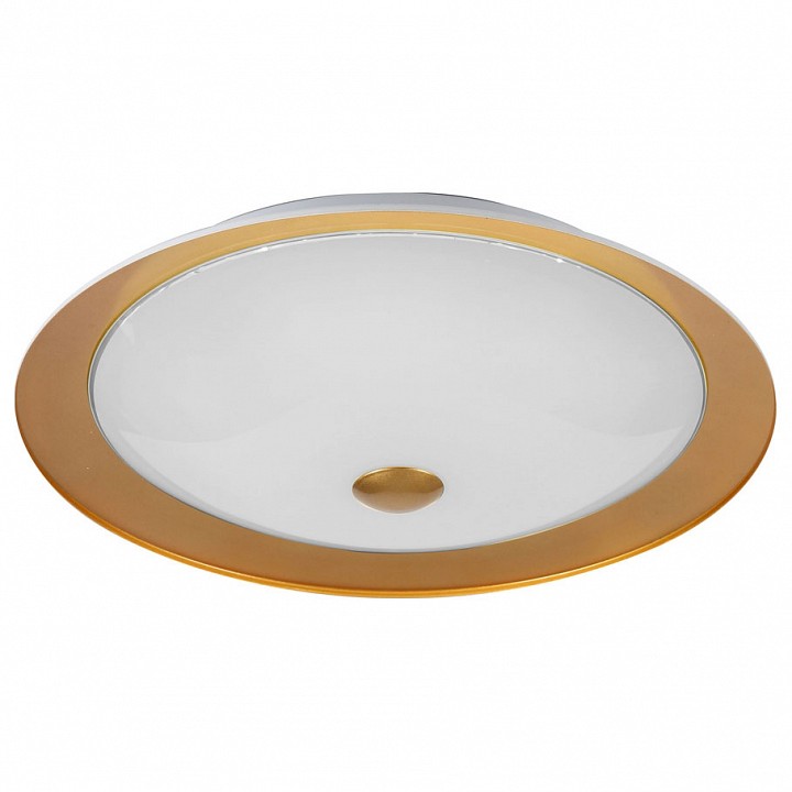 Накладной светильник Maytoni Euler CL815-PT50-G