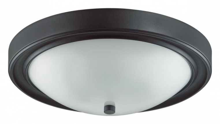 Накладной светильник Lumion Nina 5260/3C