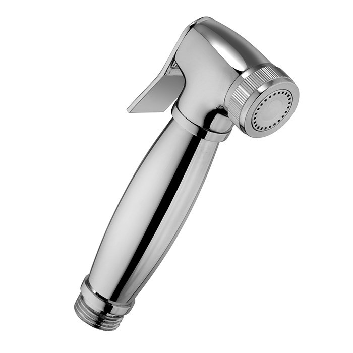 Лейка для гигиенического душа Paini 53CR174KITshower